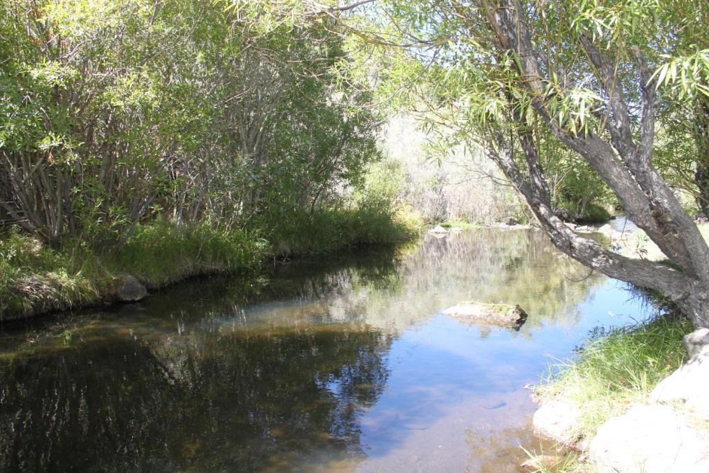 Virginia Creek Settlement