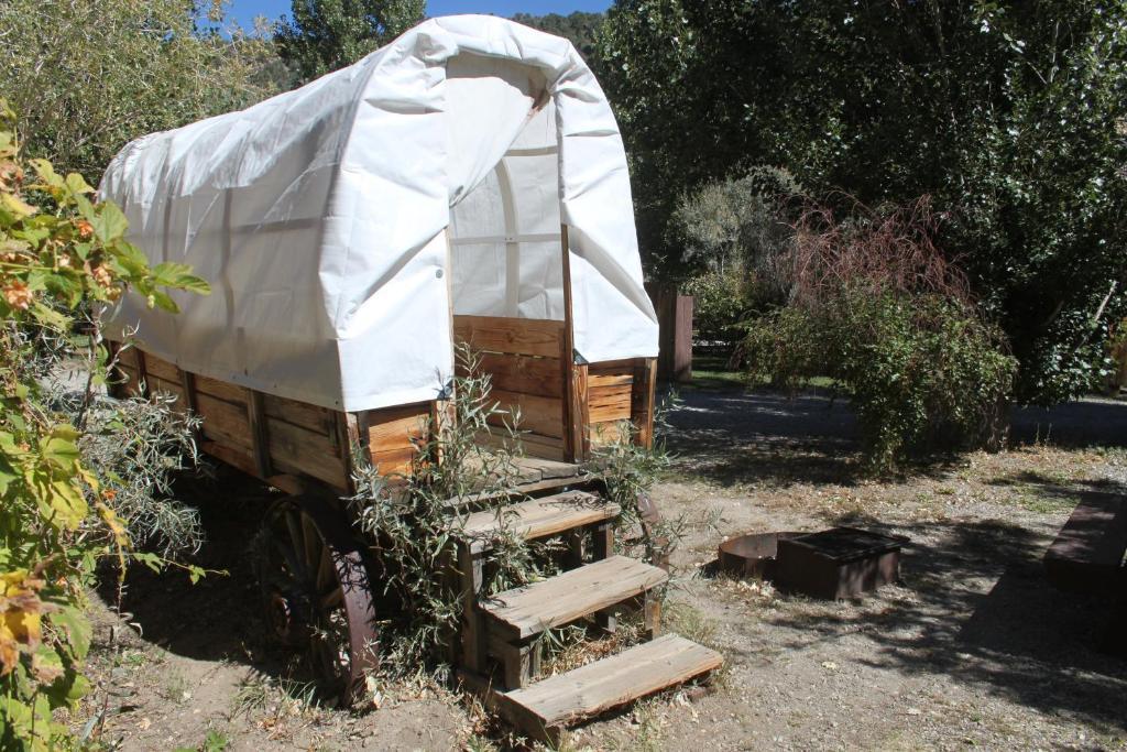 Virginia Creek Settlement Alojamento