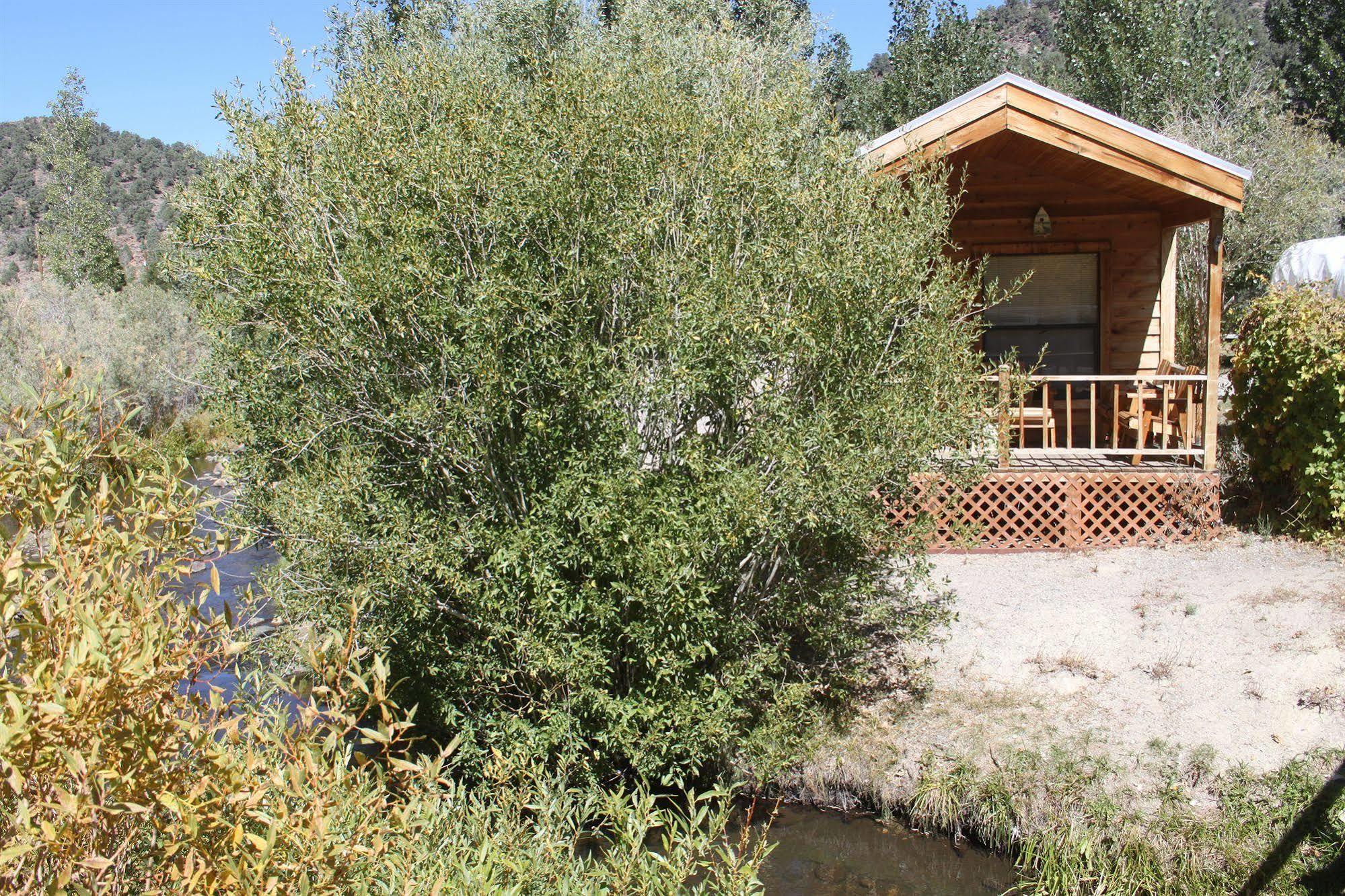 Lodge Virginia Creek Settlement *